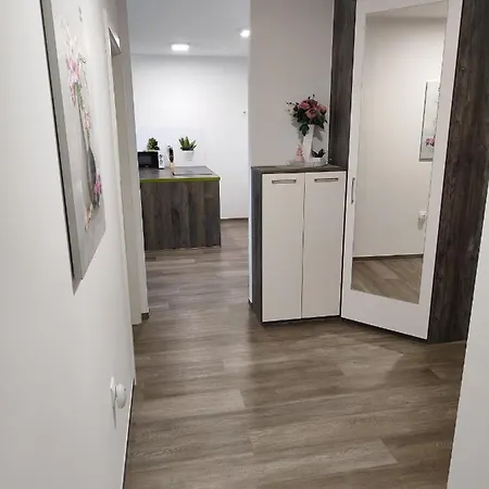 Family Apartment Moravske Toplice Exterior photo