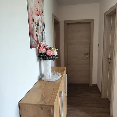 Family Apartment Moravske Toplice Exterior photo